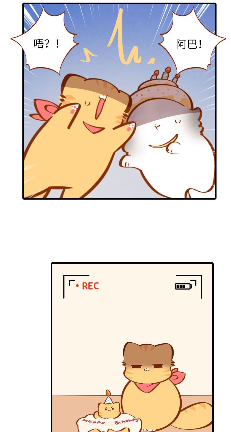 猫咪的人类饲养指南女主和医生cp漫画,第33话 许个愿吧~1图