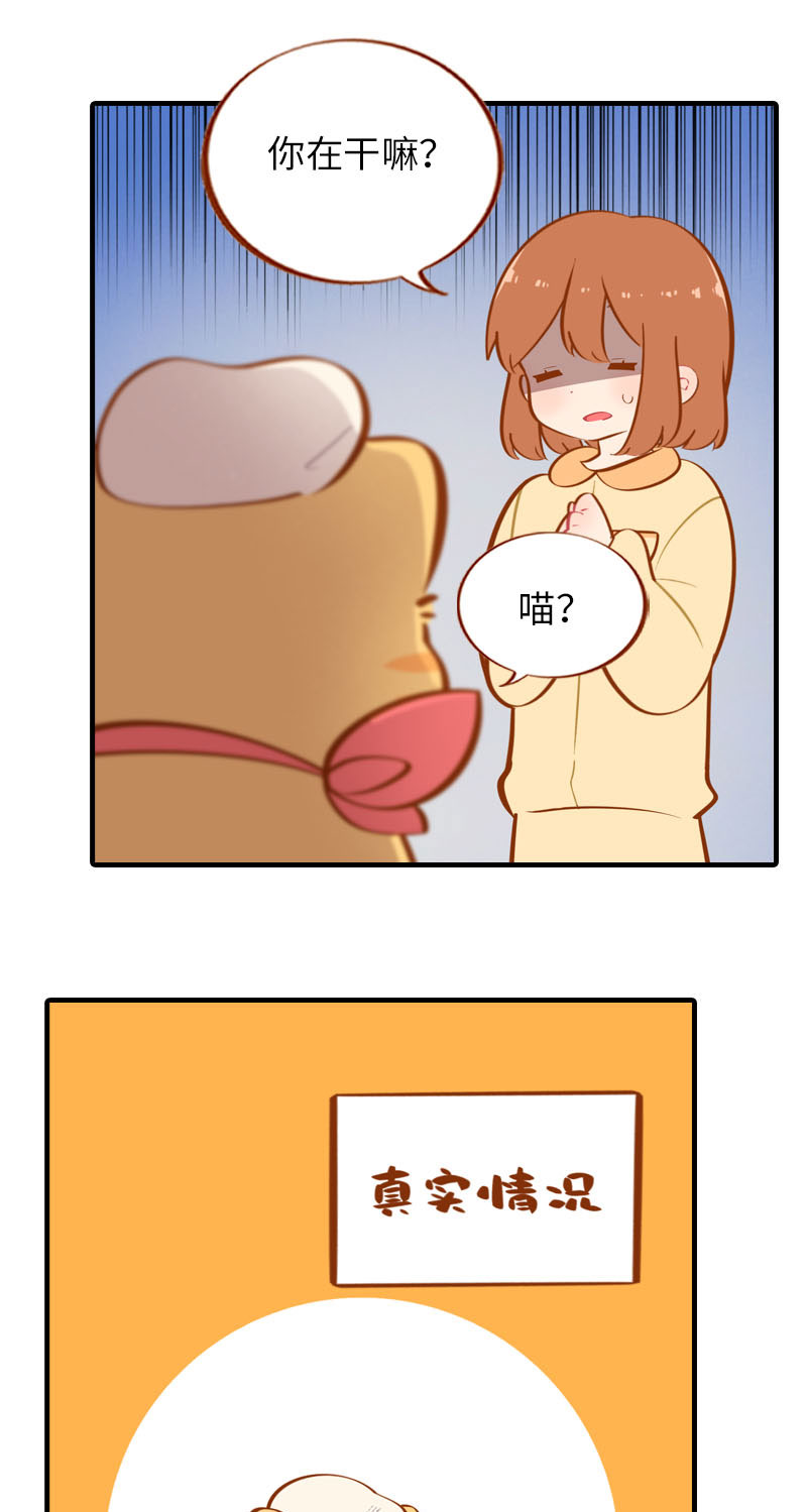 猫咪的人类饲养指南女主和医生cp漫画,第31话 猫咪搓脚？安排！2图