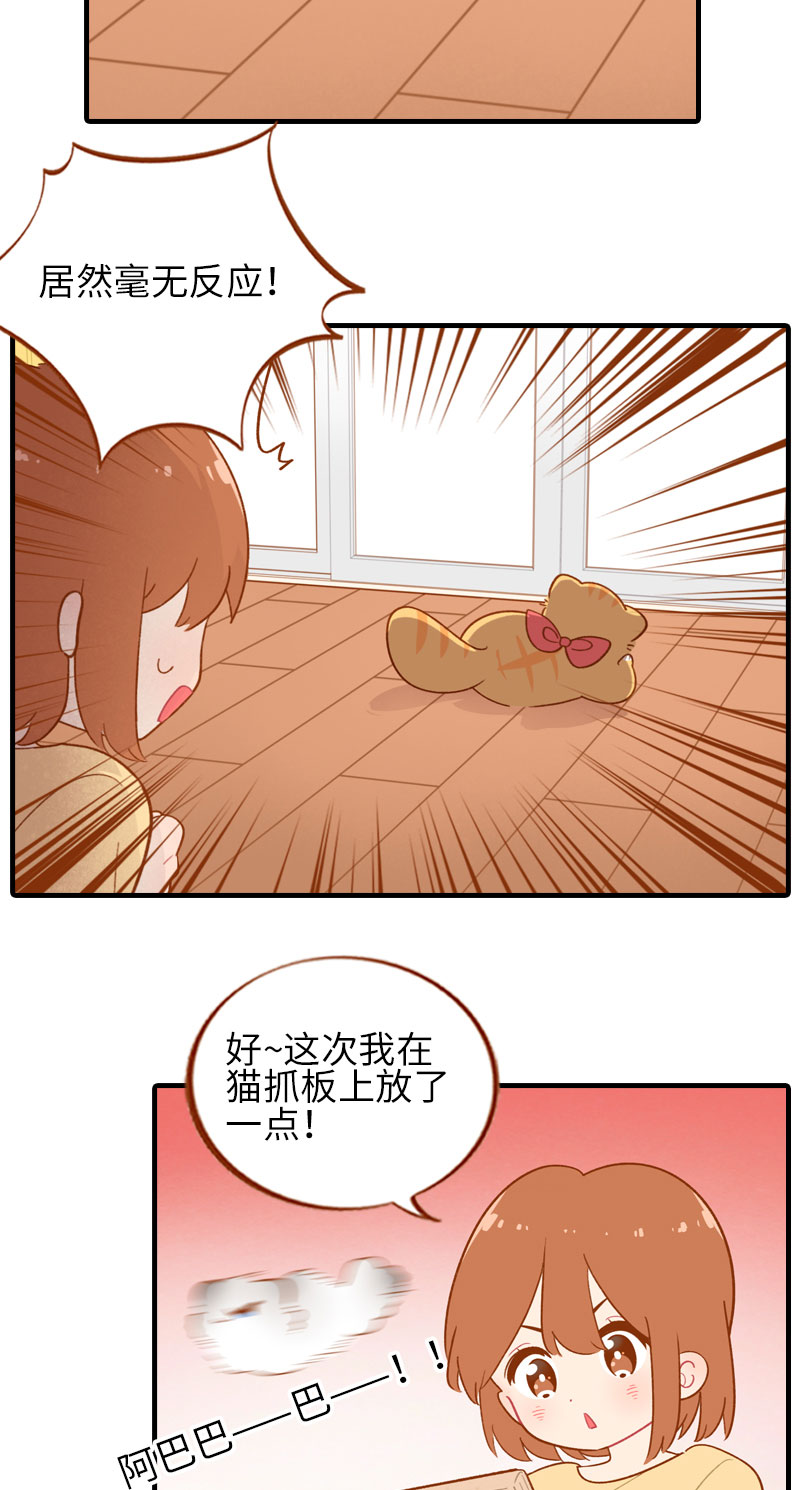 猫咪的人类饲养指南女主和医生cp漫画,第46话 来一口猫薄荷2图