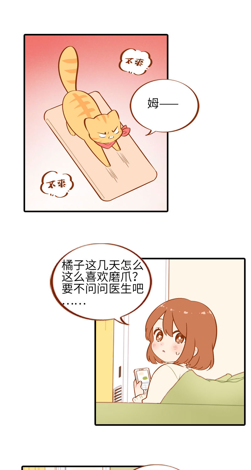 猫咪的人类饲养指南漫画,第20话 因磨爪而起的饭局2图