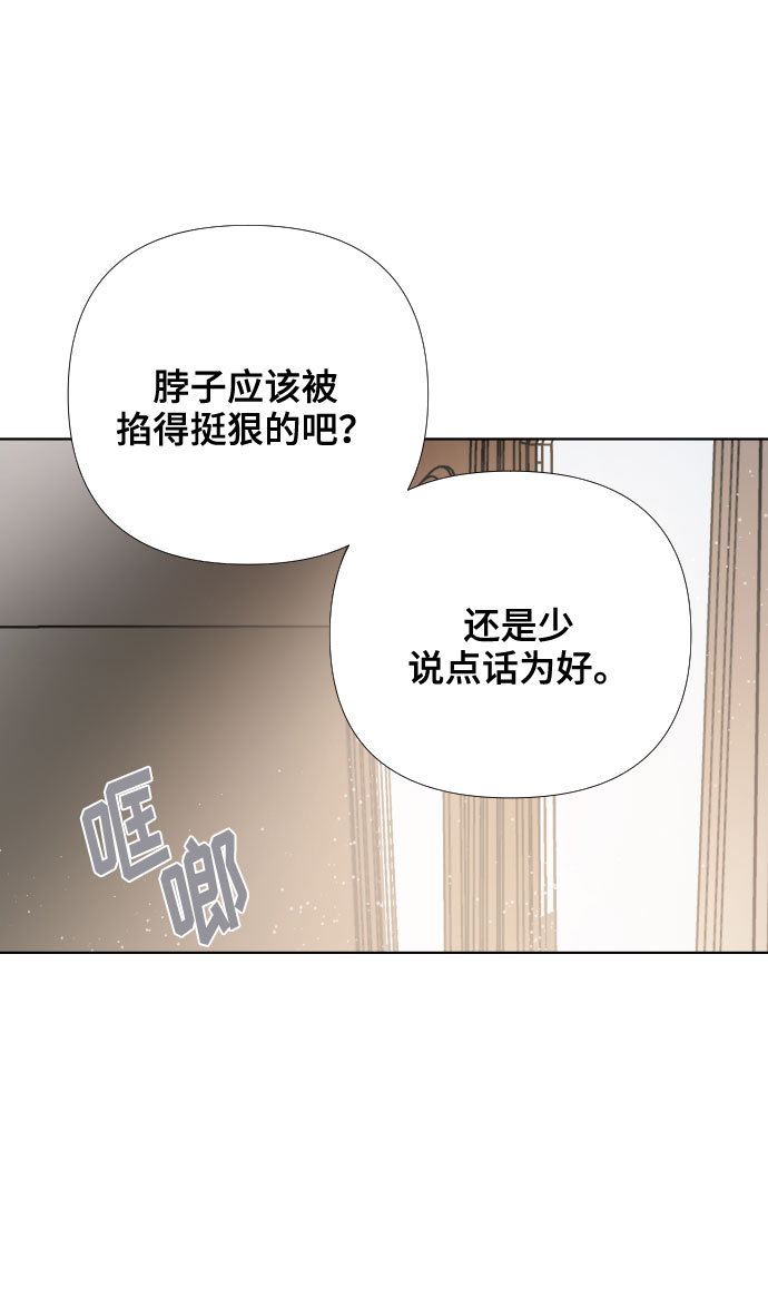 重生骑士的名媛日常解说漫画,第11话 复仇之星1图