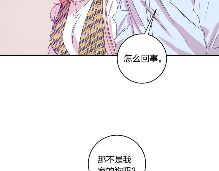 拿下双子座其实很简单漫画,第5话 帮忙抓狗1图