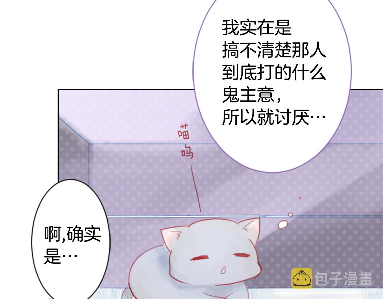 哥哥~请你收养喵漫画,第23话 书呆子魔法师1图