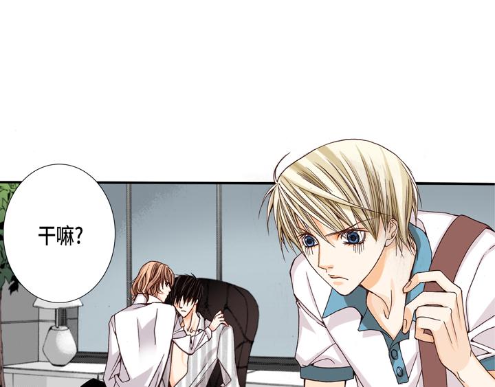 完美无缺讲的是什么漫画,第2话 混黑帮1图