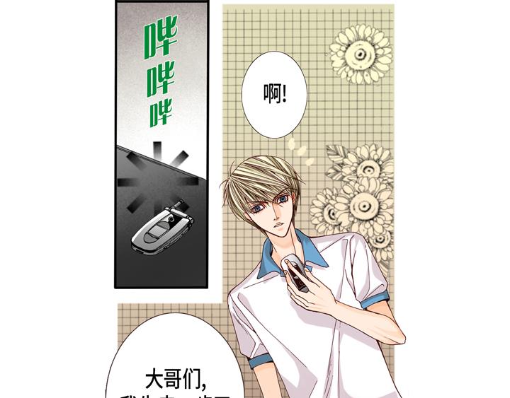完美无缺的虏获漫画,第2话 混黑帮1图