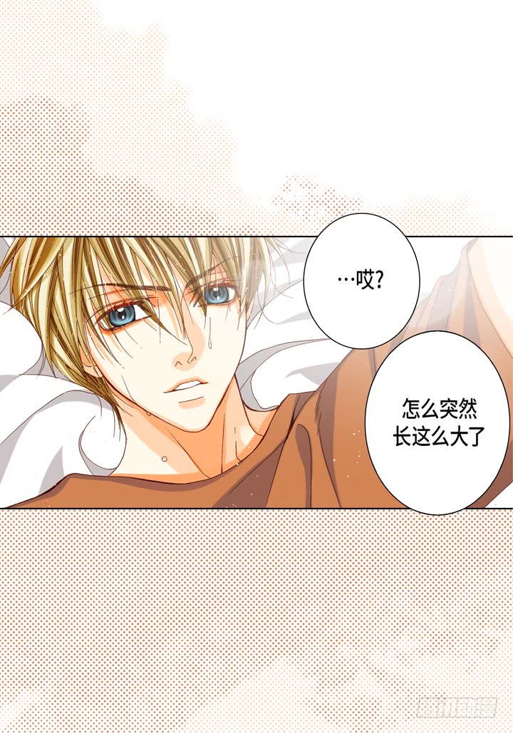 完美无缺小说简介漫画,第49话 一直在等你1图
