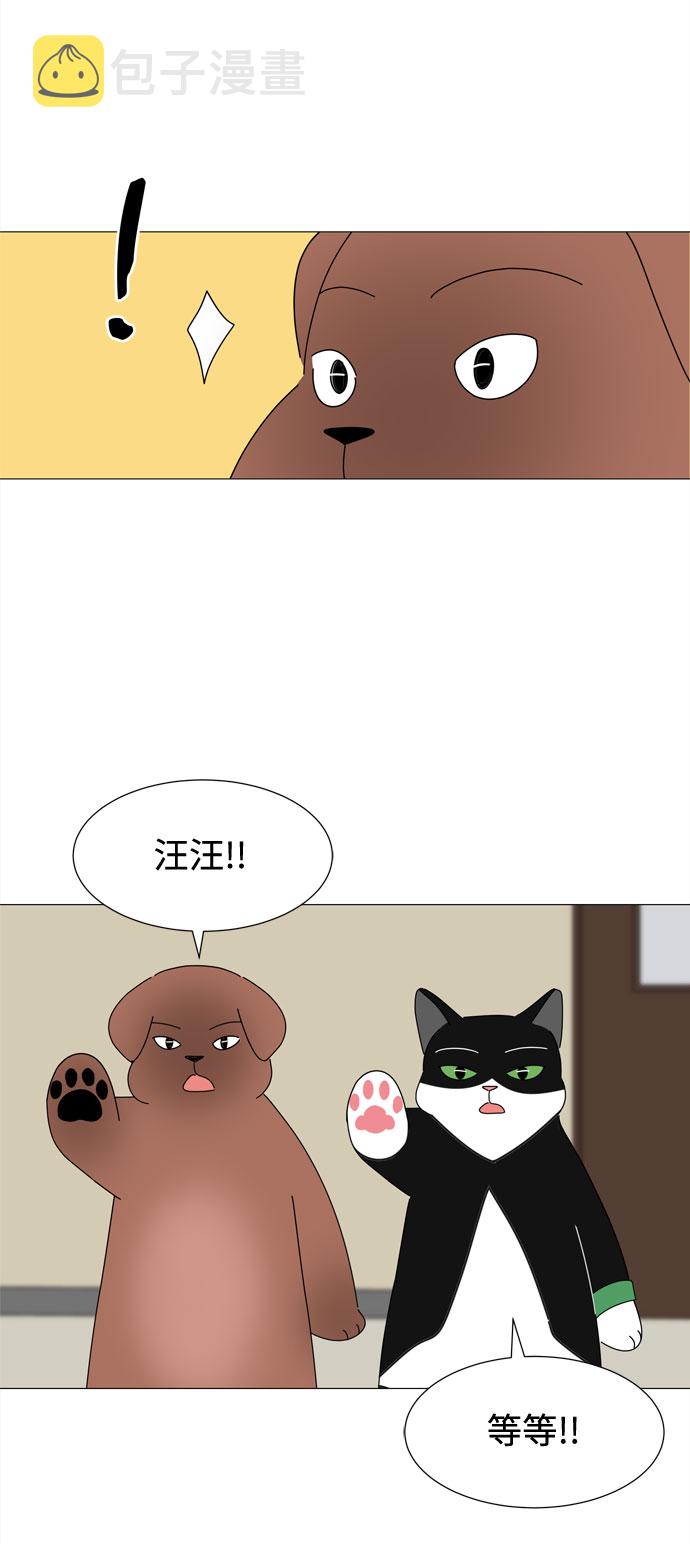野生天使保护区域漫画,第39话 板栗饼的家2图
