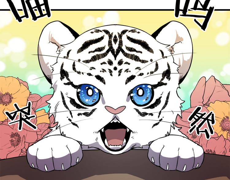 与龙共生的皇妃漫画,第26话 回忆杀1图