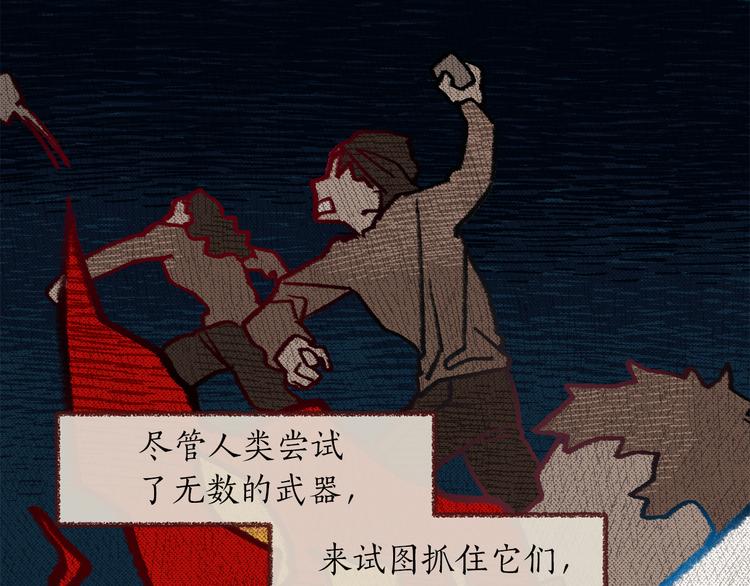 与龙共生的皇妃漫画,第1话 白龙与战士2图