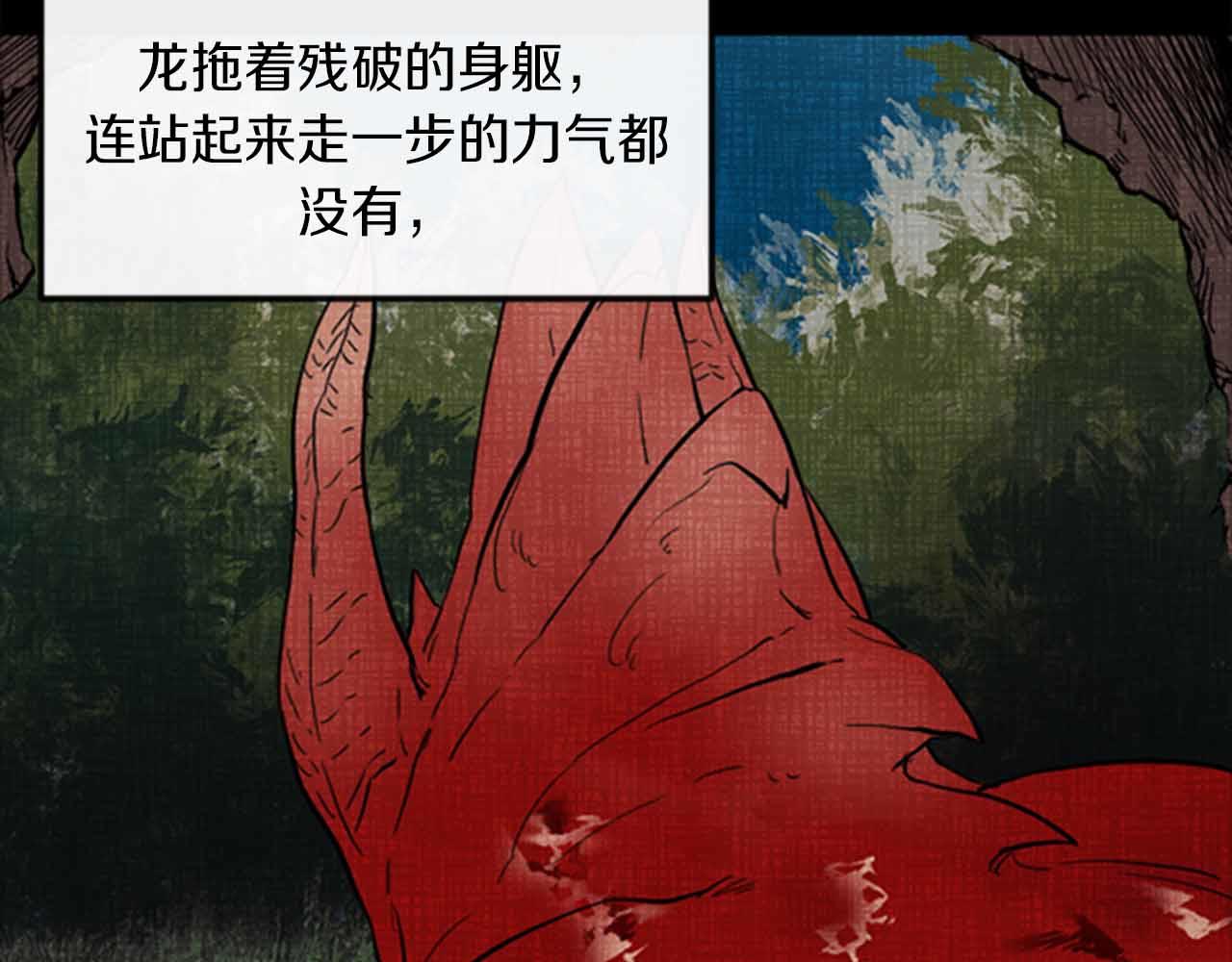 与龙共生的皇妃漫画,第12话 撩而不自知1图