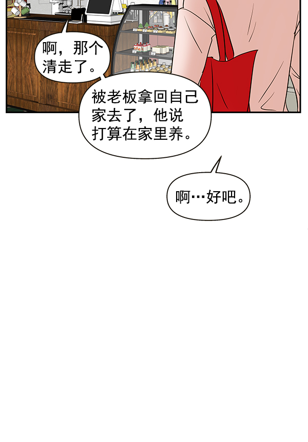 哈喽大家好英语怎么读漫画,第67话2图