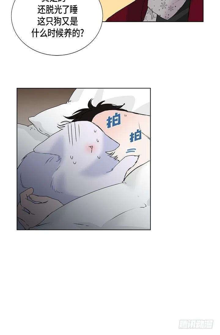 流星划过的街道漫画,第10话 不是女朋友2图