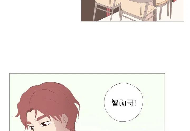 迟来的真心漫画,101图