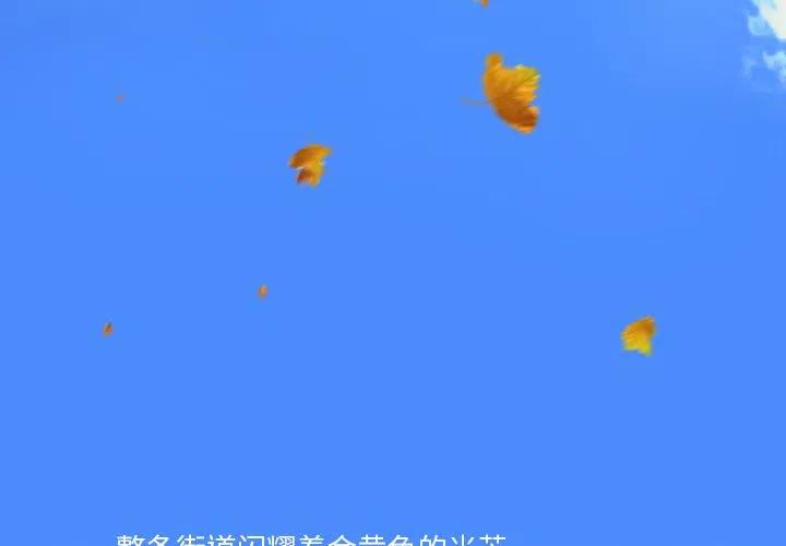 迟来的真心漫画,251图
