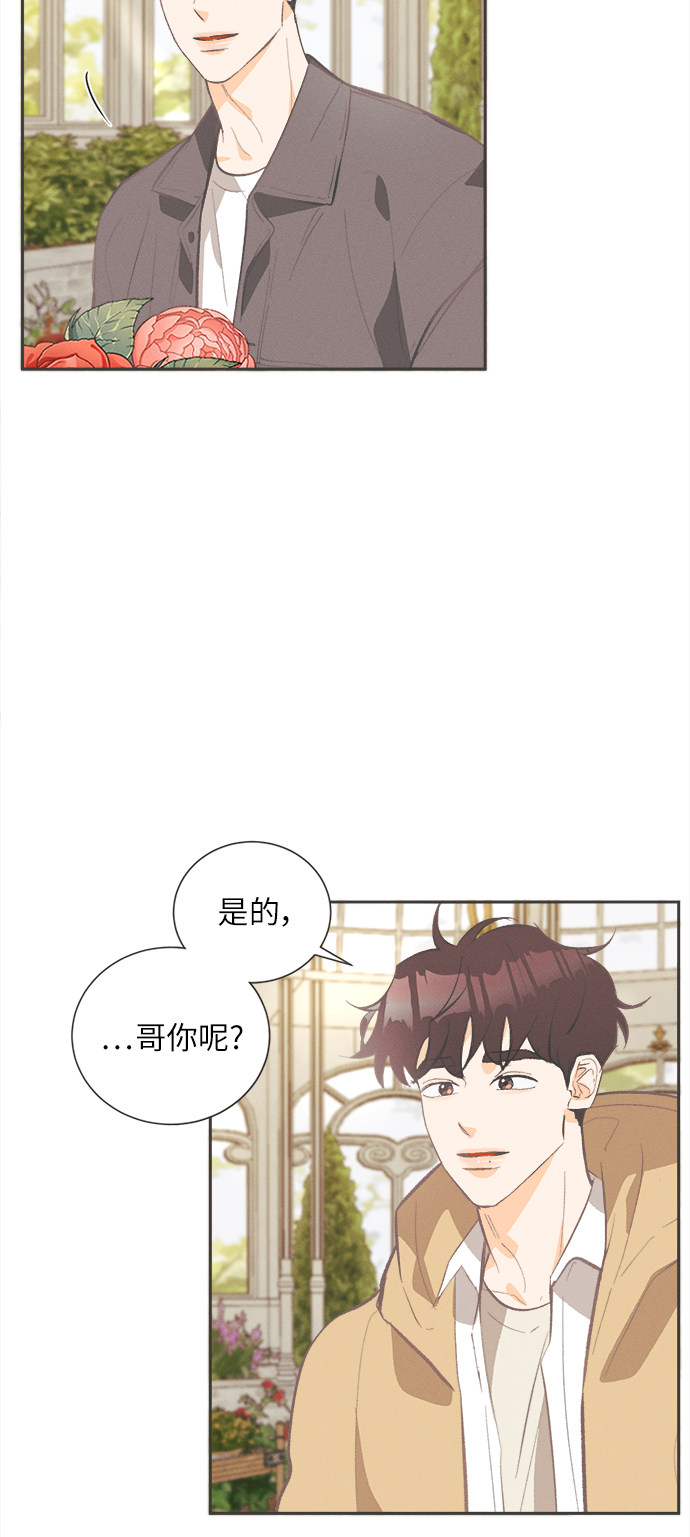 仲夏夜之梦作者简介漫画,[第32话] 南瓜花（4）2图