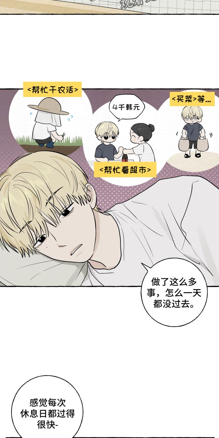 热烈阳光什么意思漫画,第52话2图
