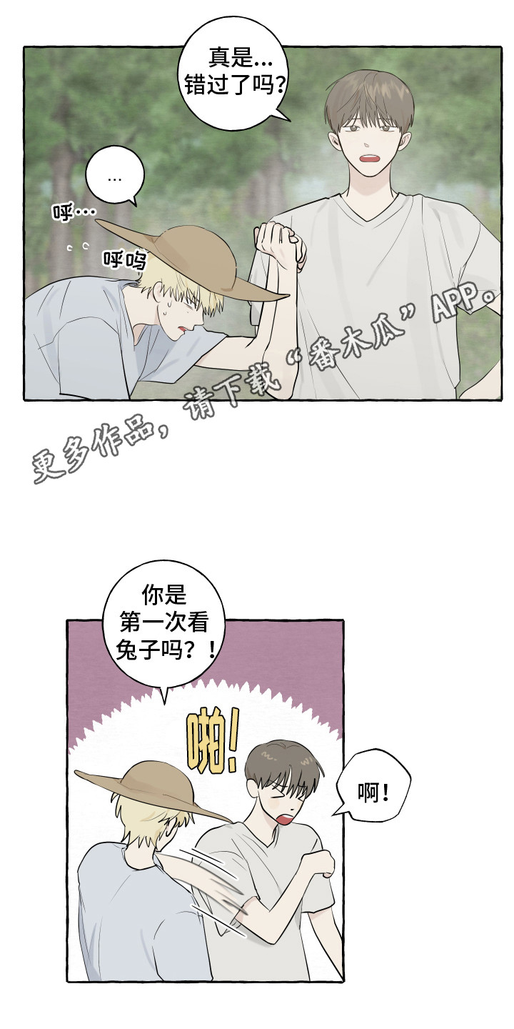 热烈阳光什么意思漫画,第13话1图