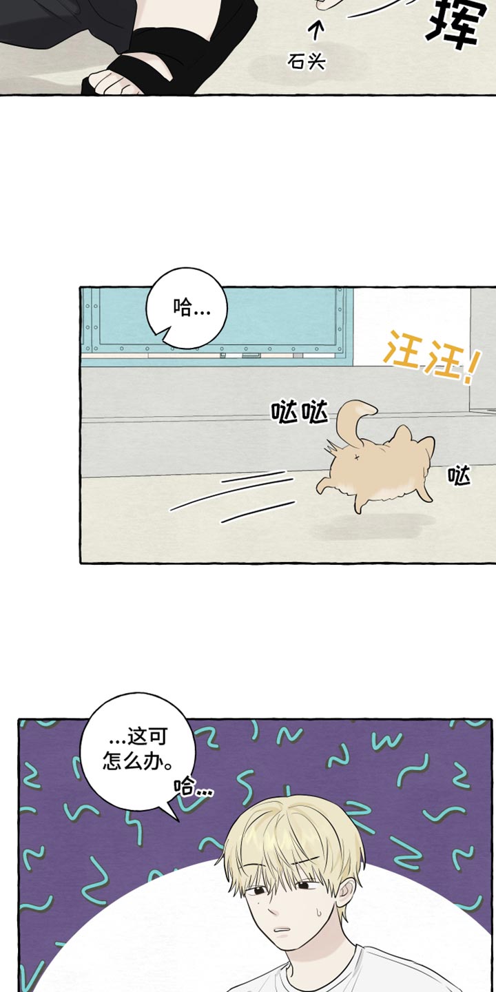 热烈阳光什么意思漫画,第52话2图