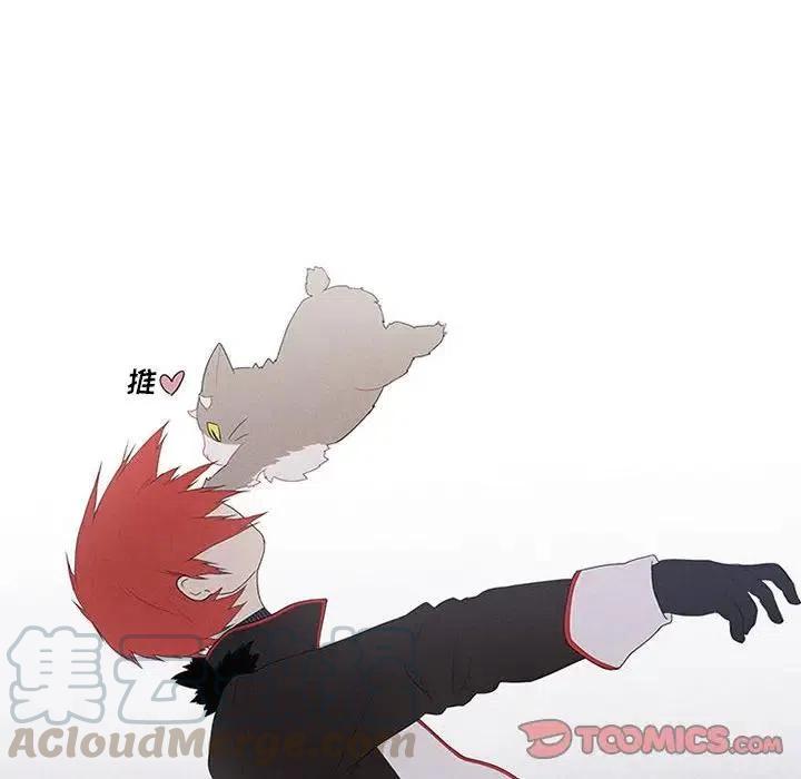魔法少年之六大令牌免费漫画,242图