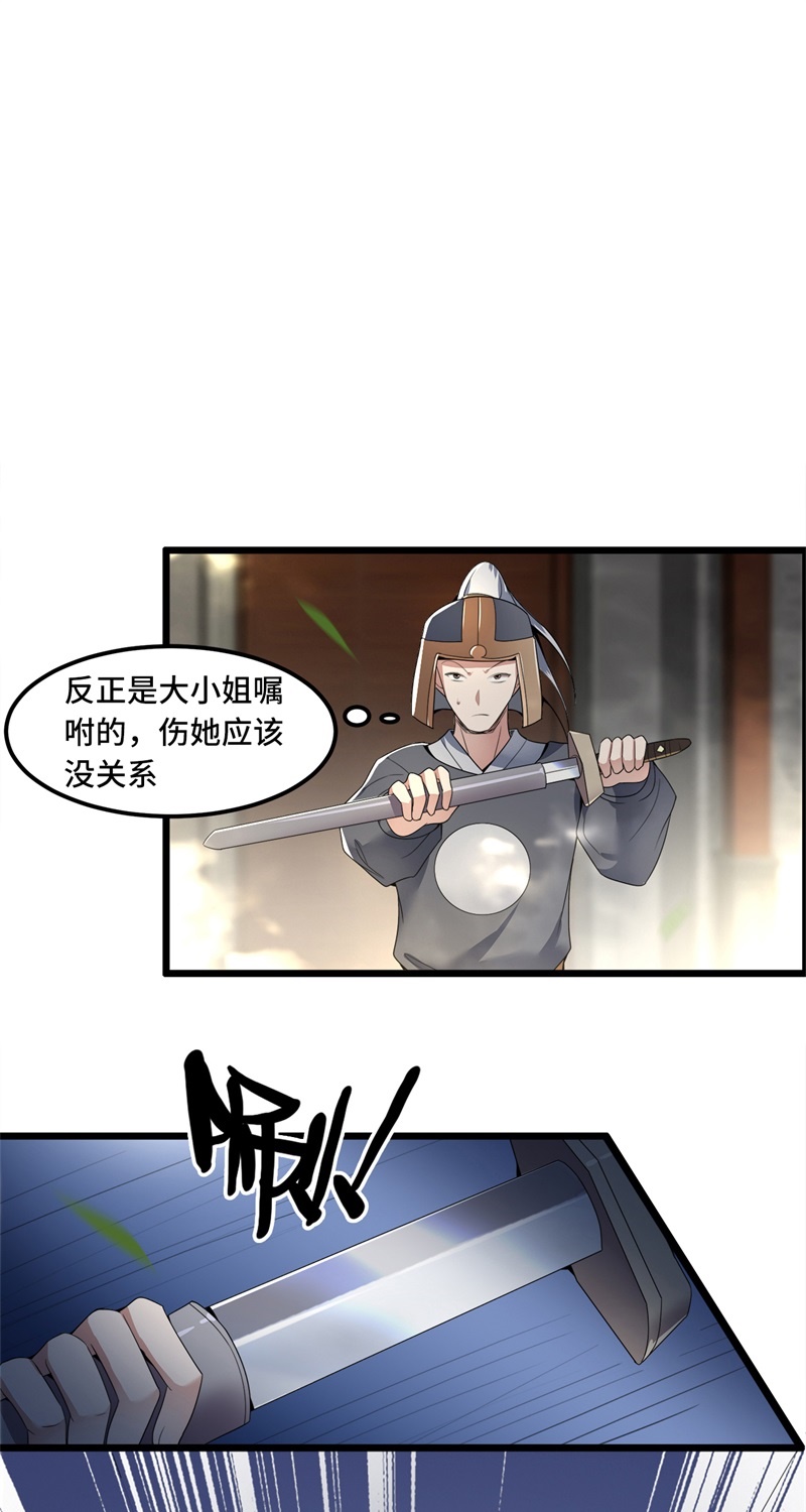 凤凰于飞免费看全集漫画,第29话 上雪刺杀清歌？1图