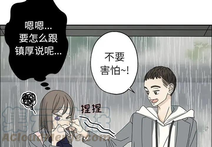 恋爱新手oppo广告女主角漫画,462图