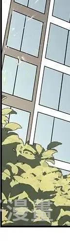 恋爱新手漫画,541图