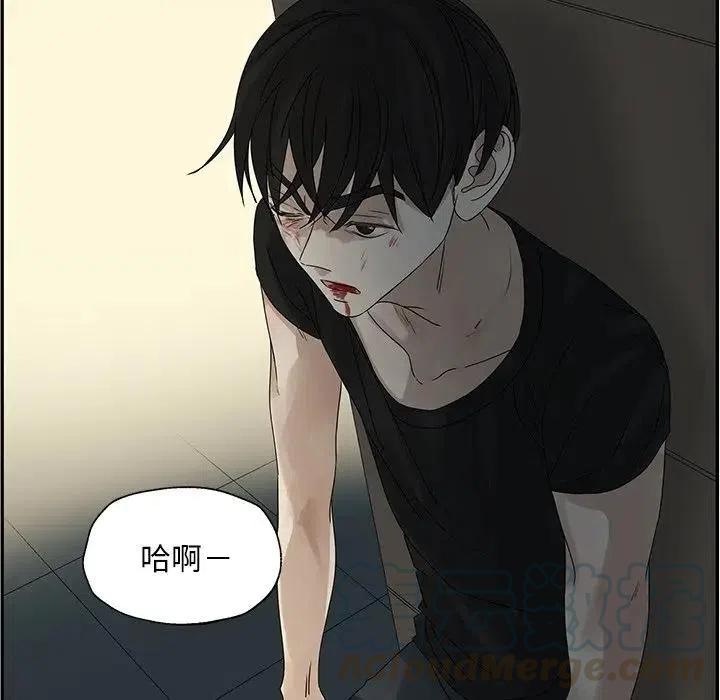 恋爱新手漫画,511图