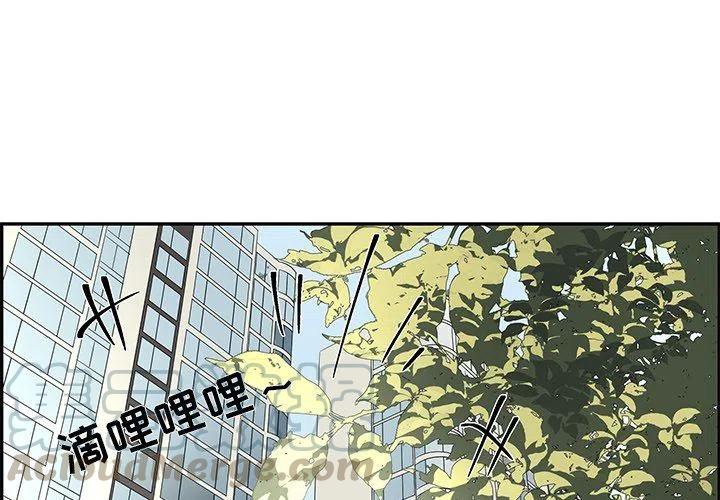 恋爱新手mv完整版漫画,292图