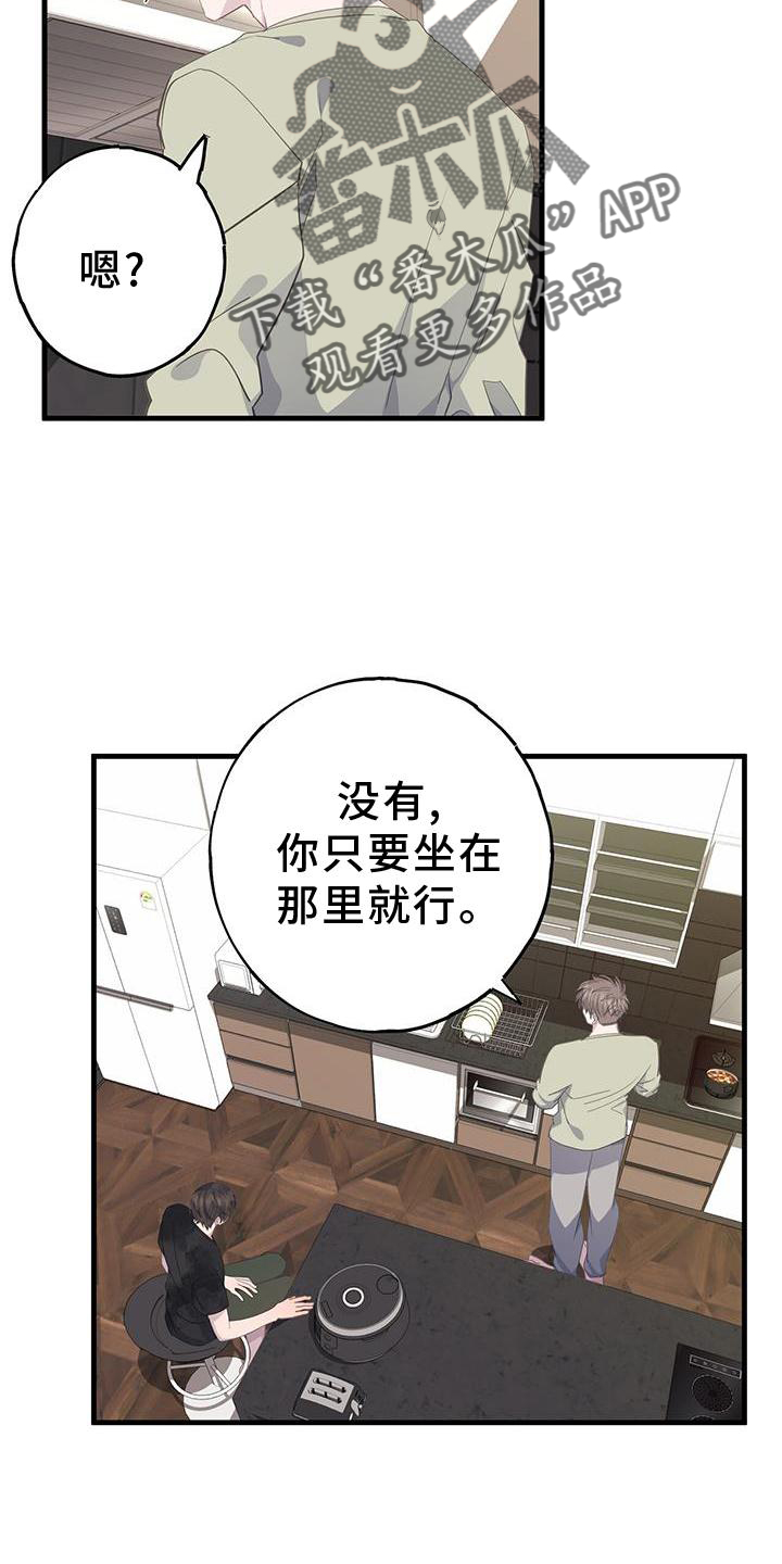 幻兽帕鲁恋爱模拟游戏漫画,第76话1图