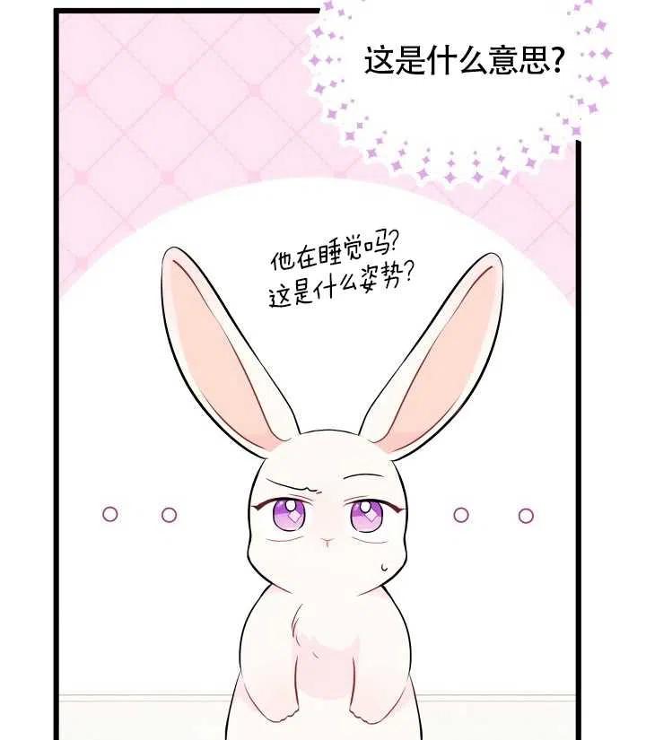 兔子与黑豹漫画免费阅读下拉式漫画,第22话1图