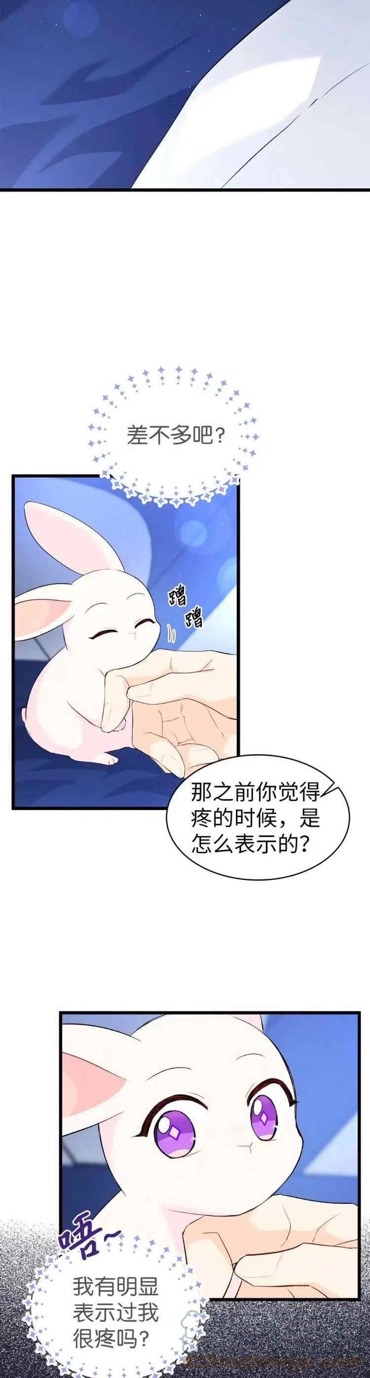 兔子和黑豹的共生关系漫画免费漫画,第47话1图