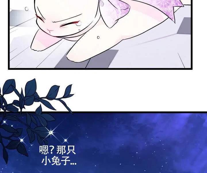 兔子和黑豹的共生关系漫画下拉式漫画,第20话2图