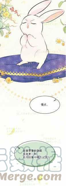 兔子与黑豹漫画免费阅读下拉式漫画,第8话1图