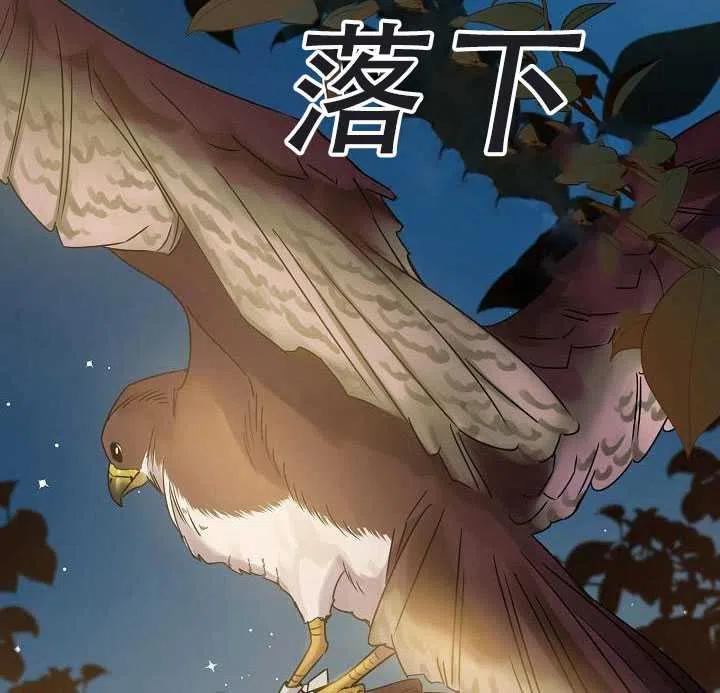 驯服暴君后逃跑了免费阅读下拉式漫画,第38话1图