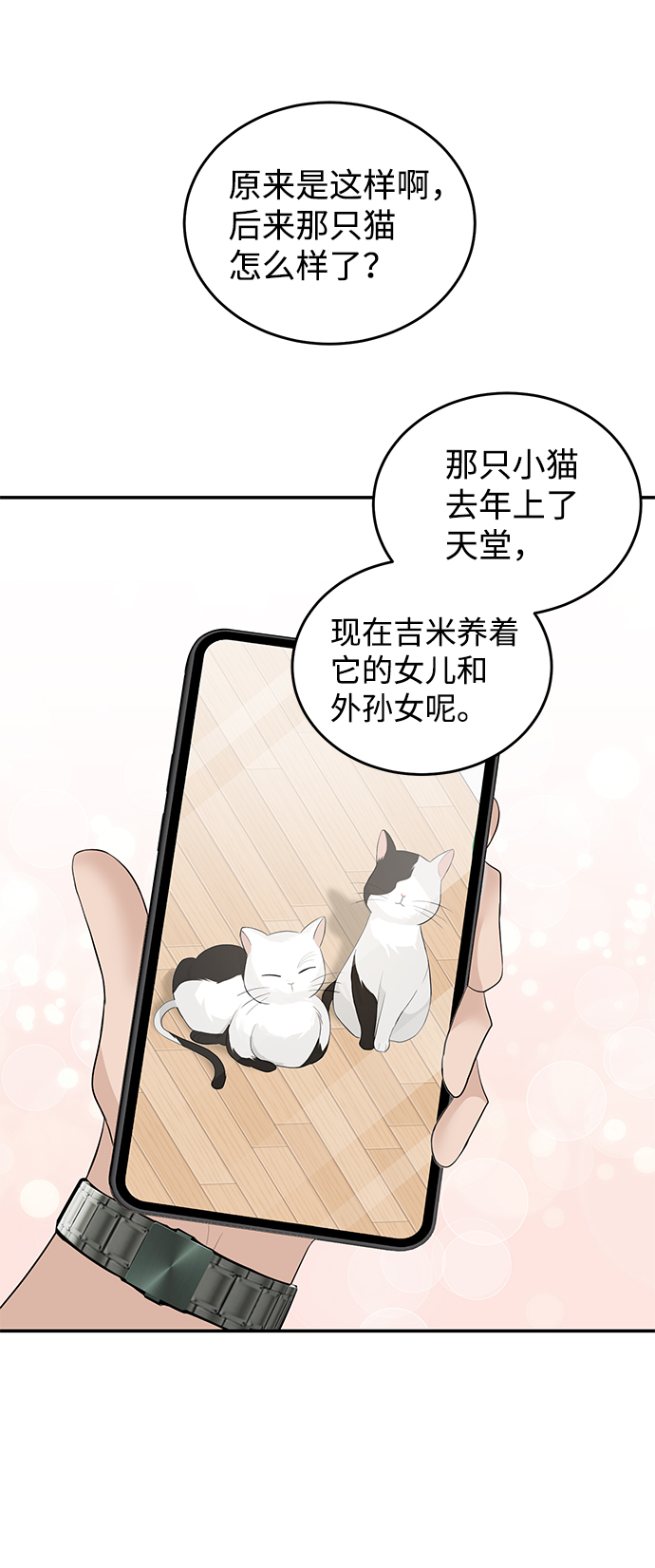 完美结婚公式漫画,第50话1图
