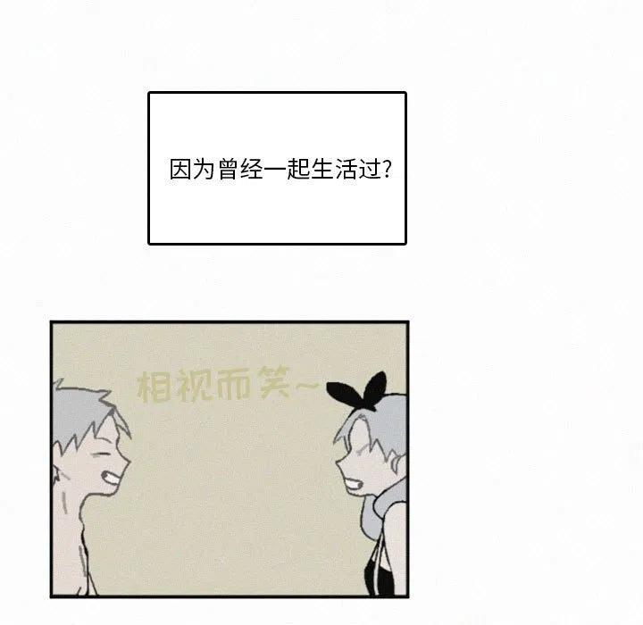 北京大风刮倒40厘米粗大树漫画,471图