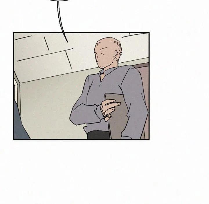 北京大风刮倒40厘米粗大树漫画,482图