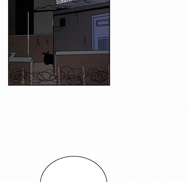 北京大风刮倒40厘米粗大树漫画,432图