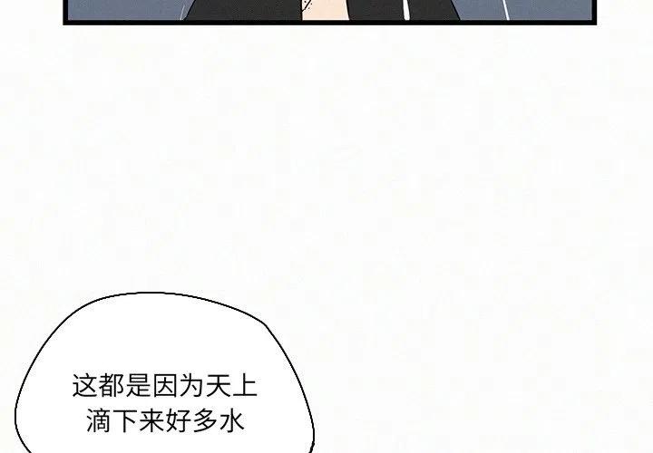 北京大风刮倒40厘米粗大树漫画,202图
