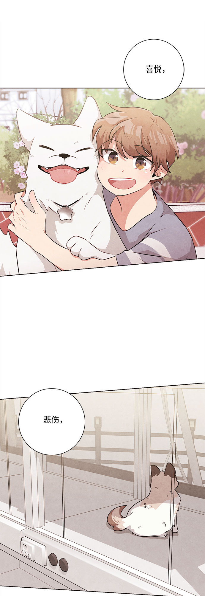 今天也汪汪漫画,第68话1图