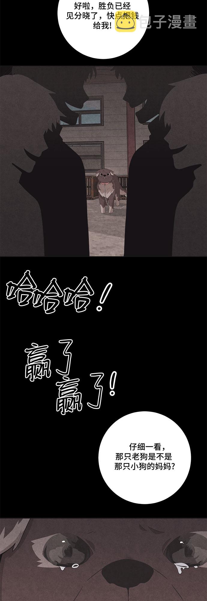 今天也汪汪漫画,第67话2图