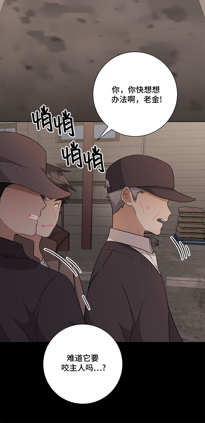 今天也汪汪漫画,第67话1图