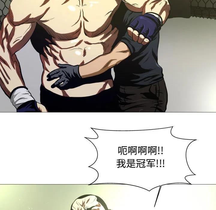 虚拟格斗武术介绍漫画,71图