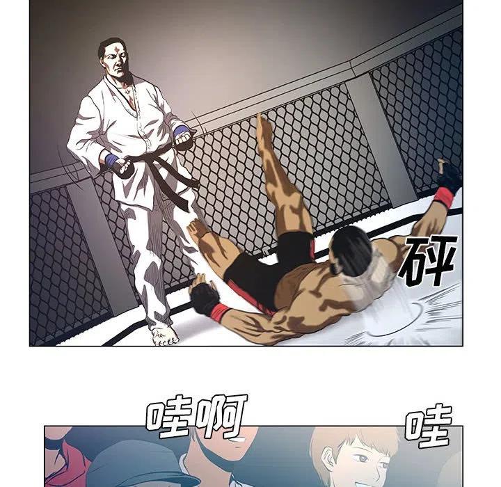 虚拟格斗武术介绍漫画,312图