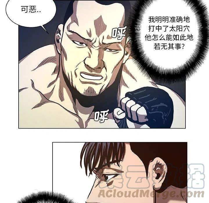 虚拟格斗武术介绍漫画,282图