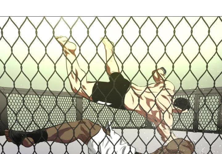 虚拟格斗武术介绍漫画,71图