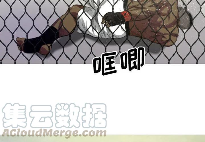 虚拟格斗武术介绍漫画,72图
