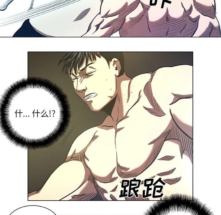 虚拟格斗武术介绍漫画,281图