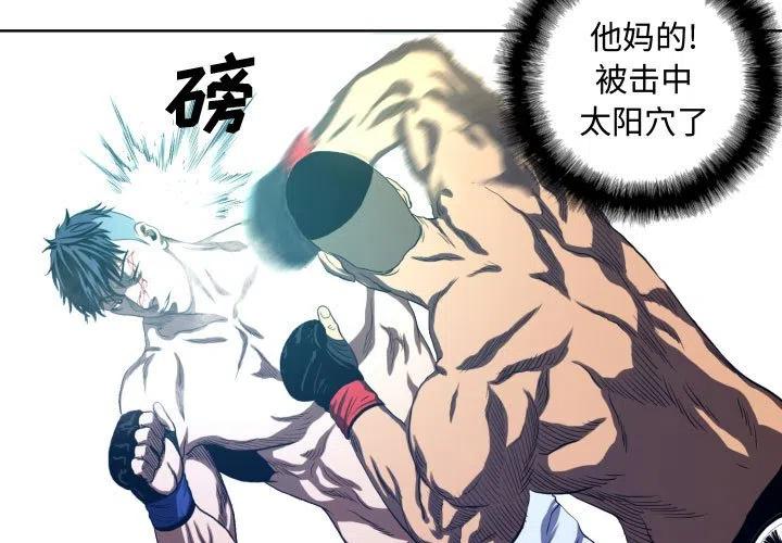 虚拟格斗武术介绍漫画,181图