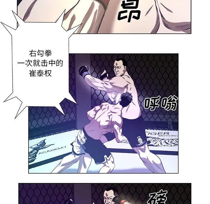 虚拟格斗武术介绍漫画,282图